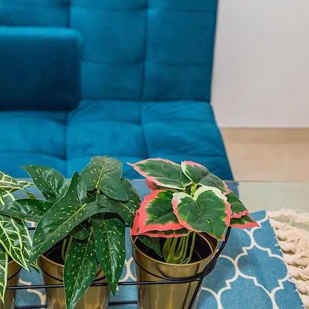 Centro Sandoval Apartment Cordoba