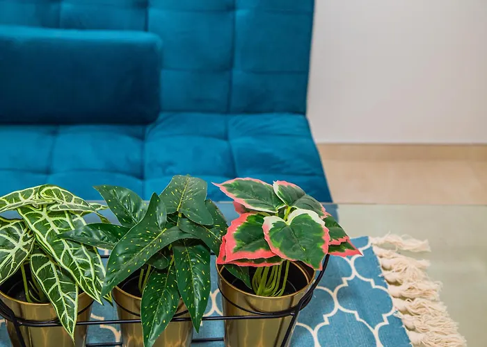 Centro Sandoval Apartamento Córdova